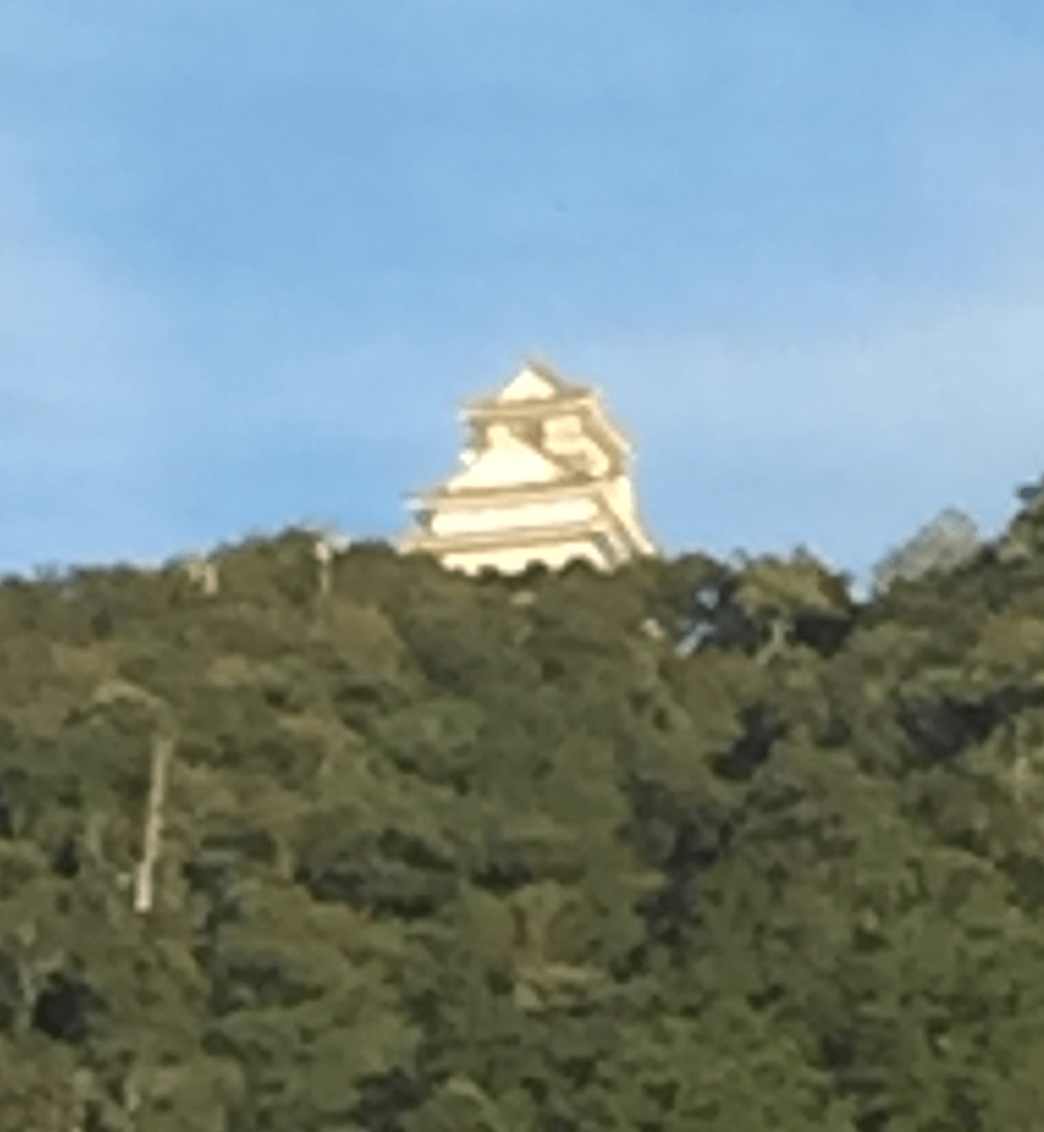 デイトラとは